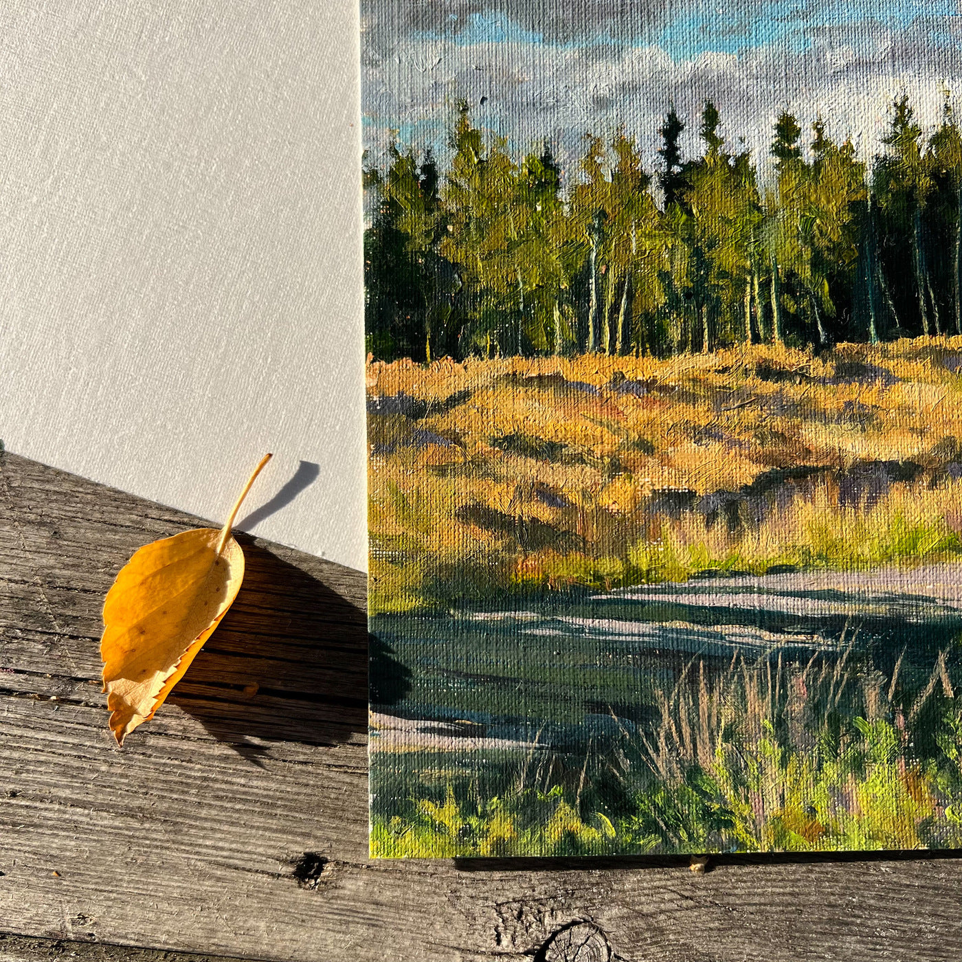Plein air Oil painting